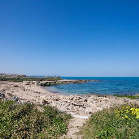 Ferienwohnung Casaalmare Mola di Bari Exterior foto